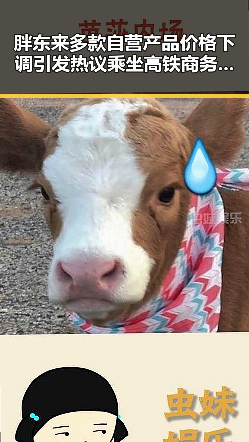 胖东来多款自营产品价格下调引发热议 乘坐高铁商务座竟无免费午餐对比反差
