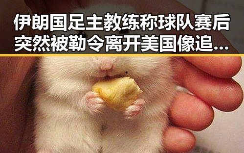 伊朗国足主教练称球队赛后突然被勒令离开美国像追剧一样看懂大师的反差现场