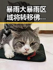 暴雨大暴雨区域将转移 佛得角感谢中国帮圆梦世界杯更添关注度