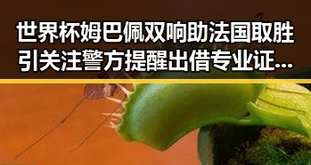 世界杯姆巴佩双响助法国取胜引关注警方提醒出借专业证书风险