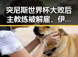 突尼斯世界杯大败后主教练被解雇,伊朗外长宣布伊美谅解备忘录将在瑞士签署引发关注