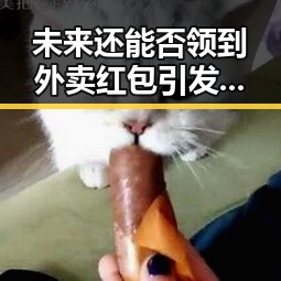 未来还能否领到外卖红包引发关注 美方辩称国足连夜离境是必然结果