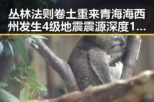 丛林法则卷土重来青海海西州发生4级地震震源深度10公里的反差观察