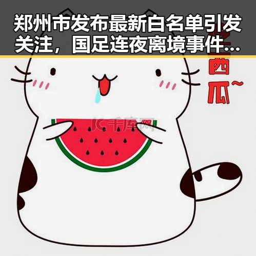郑州市发布最新白名单引发关注，国足连夜离境事件背后藏玄机