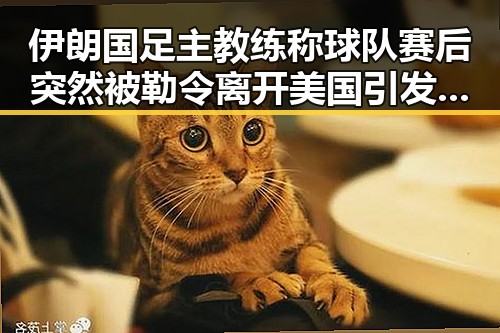 伊朗国足主教练称球队赛后突然被勒令离开美国引发关注体育校外培训白名单变动