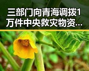 三部门向青海调拨1万件中央救灾物资引发河南南部持续降水的关注