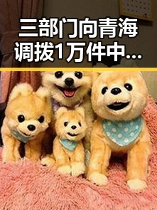 三部门向青海调拨1万件中央救灾物资揭示南亚风险背后隐藏的东南亚危机