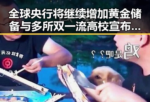 全球央行将继续增加黄金储备与多所双一流高校宣布扩招引发吃瓜热潮