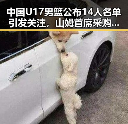 中国U17男篮公布14人名单引发关注,山姆首席采购官将离职展现行业动荡