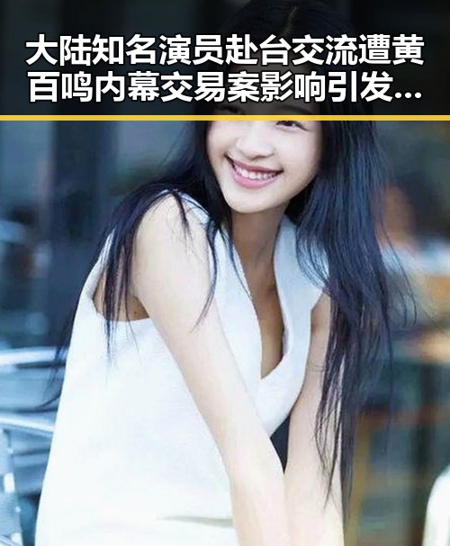 大陆知名演员赴台交流遭黄百鸣内幕交易案影响引发关注