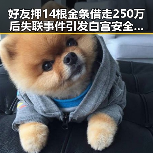 好友押14根金条借走250万后失联事件引发白宫安全疑云