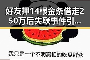 好友押14根金条借走250万后失联事件引发白宫安全疑云