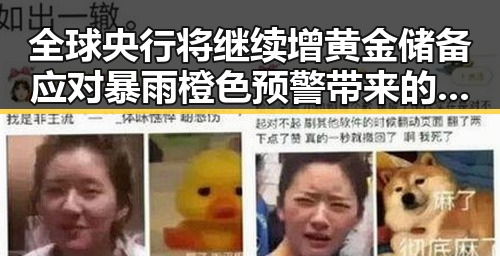 全球央行将继续增黄金储备应对暴雨橙色预警带来的不确定性
