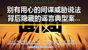别有用心的间谍威胁说法背后隐藏的谣言典型案例与新疆乡镇搬迁传闻的真相