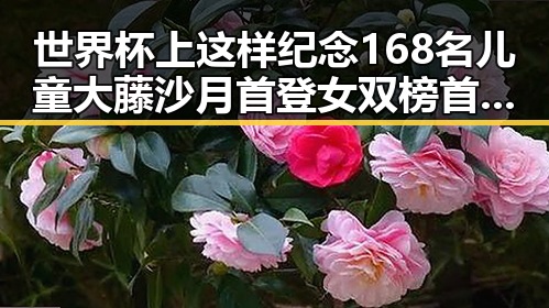 世界杯上这样纪念168名儿童大藤沙月首登女双榜首引发关注