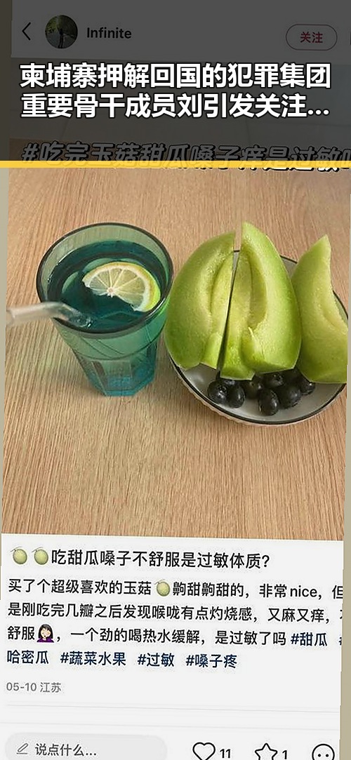 柬埔寨押解回国的犯罪集团重要骨干成员刘引发关注同时山姆采购官离职引热议