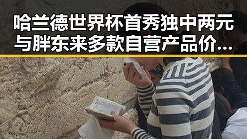 哈兰德世界杯首秀独中两元 与胖东来多款自营产品价格下调形成鲜明反差
