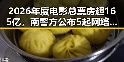 2026年度电影总票房超165亿,南警方公布5起网络造谣事件引发关注