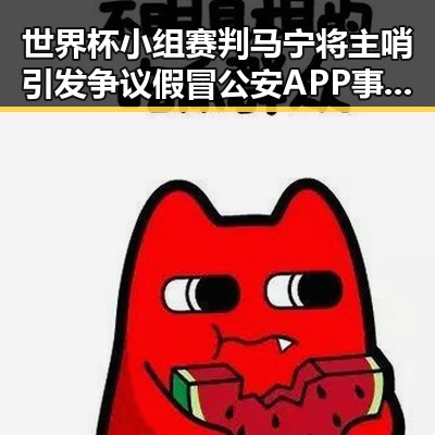 世界杯小组赛判马宁将主哨引发争议 假冒公安APP事件再度升级
