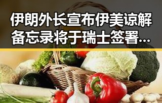伊朗外长宣布伊美谅解备忘录将于瑞士签署同时郑州新一批消费券明日起至9月3日开启领取