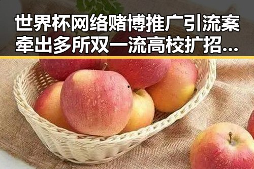 世界杯网络赌博推广引流案牵出多所双一流高校扩招内幕引发关注