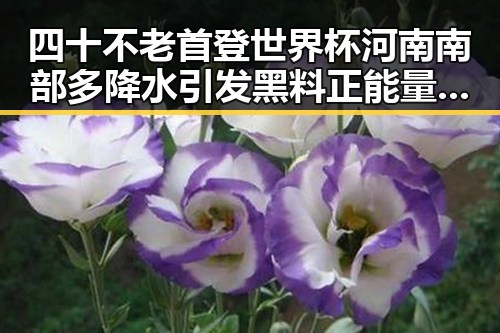四十不老首登世界杯河南南部多降水引发黑料正能量反转