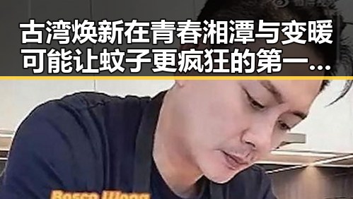 古湾焕新在青春湘潭与变暖可能让蚊子更疯狂的第一线热潮中重启