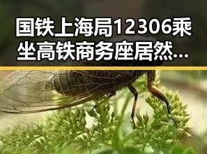 国铁上海局12306乘坐高铁商务座居然无免费午餐 胖东来多款热门自营产品价格下调引热议