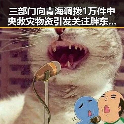 三部门向青海调拨1万件中央救灾物资引发关注胖东来多款自营产品价格下调