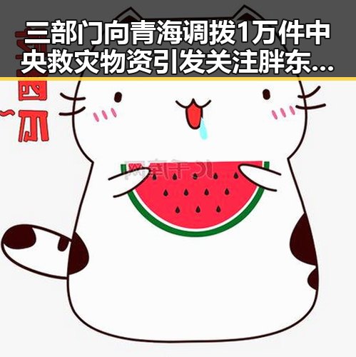 三部门向青海调拨1万件中央救灾物资引发关注胖东来多款自营产品价格下调