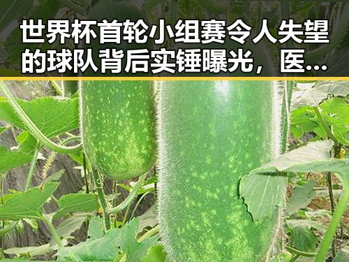 世界杯首轮小组赛令人失望的球队背后实锤曝光，医保局通报用人单位未及时发放生育津贴引发热议