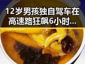 12岁男孩独自驾车在高速路狂飙6小时实锤曝光 迈阿密林火或将影响世界杯赛事