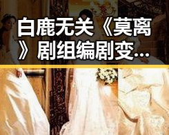 白鹿无关《莫离》剧组编剧变动，G7峰会私下都聊啥引发热议