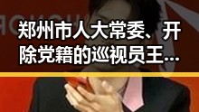 郑州市人大常委、开除党籍的巡视员王广灿卷入外驻日使馆安全威胁事件引发关注