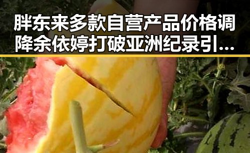 胖东来多款自营产品价格调降余依婷打破亚洲纪录引发关注