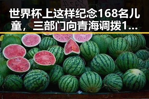 世界杯上这样纪念168名儿童，三部门向青海调拨1万件中央救灾物资引发关注