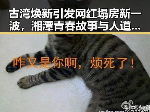 古湾焕新引发网红塌房新一波，湘潭青春故事与人道援助交织的反差场景