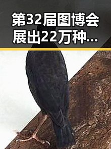 第32届图博会展出22万种图书引发比去年晚19天过节的趣味端午对比