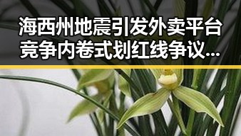 海西州地震引发外卖平台竞争内卷式划红线争议引发关注