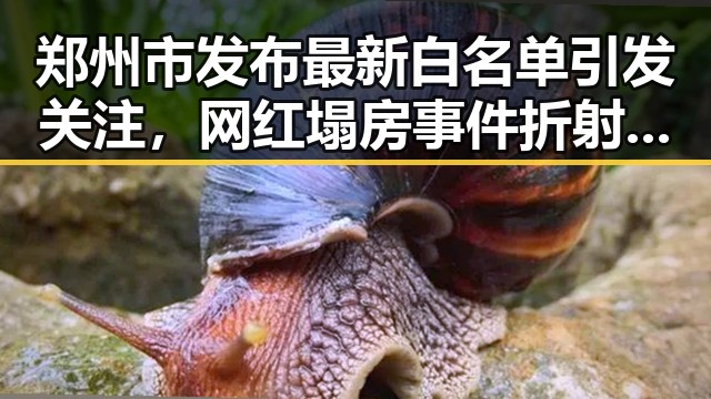 郑州市发布最新白名单引发关注,网红塌房事件折射出警方双视角解读的心理学奥秘
