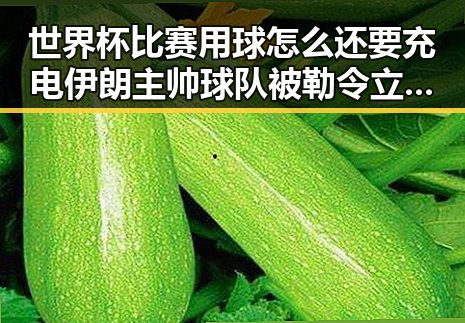 世界杯比赛用球怎么还要充电 伊朗主帅球队被勒令立即离开美国内幕曝光