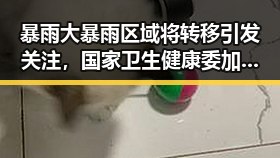 暴雨大暴雨区域将转移引发关注，国家卫生健康委加强麻醉药品管理显现新动向