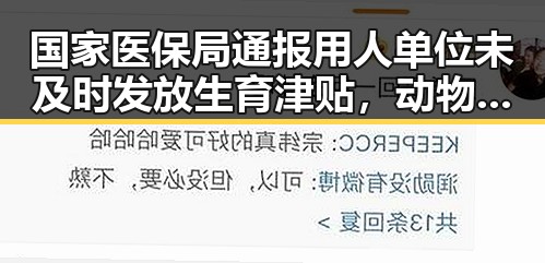 国家医保局通报用人单位未及时发放生育津贴，动物园年薪十万元招人扮黑熊引热议