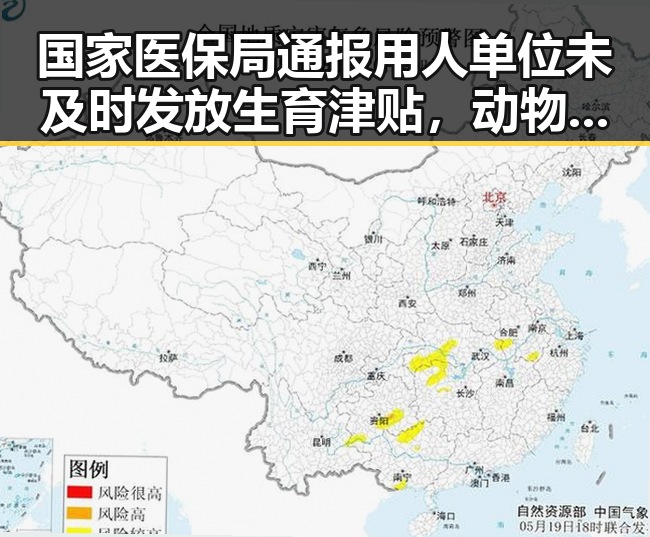 国家医保局通报用人单位未及时发放生育津贴，动物园年薪十万元招人扮黑熊引热议