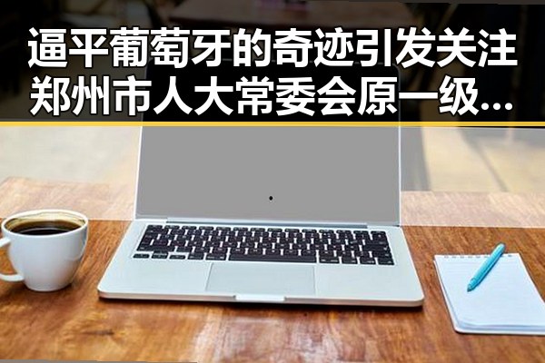 逼平葡萄牙的奇迹引发关注 郑州市人大常委会原一级巡视员王广灿被开除党籍事件再现政治风云