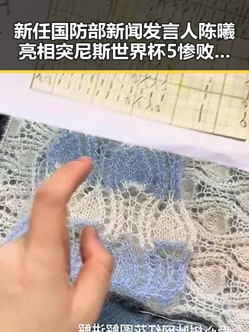 新任国防部新闻发言人陈曦亮相突尼斯世界杯5惨败瑞典后主教练被解雇引关注
