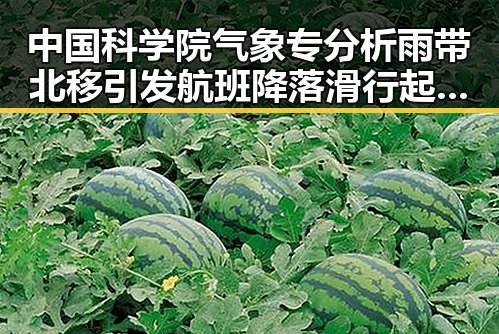 中国科学院气象专分析雨带北移引发航班降落滑行起落架冒烟事件